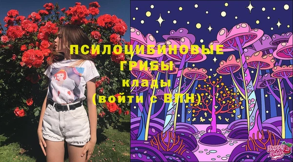 твердый Абинск