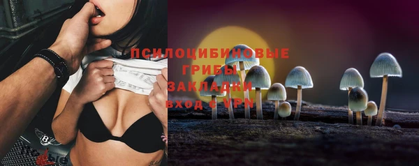 твердый Абаза