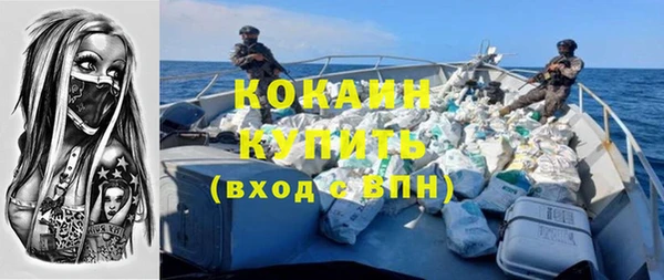 ALPHA PVP Горнозаводск
