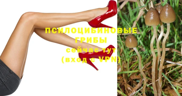 твердый Абаза