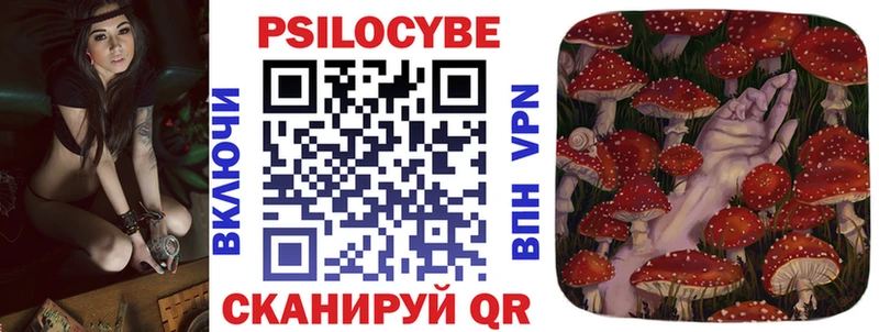 Псилоцибиновые грибы Psilocybine cubensis  купить   Суздаль 